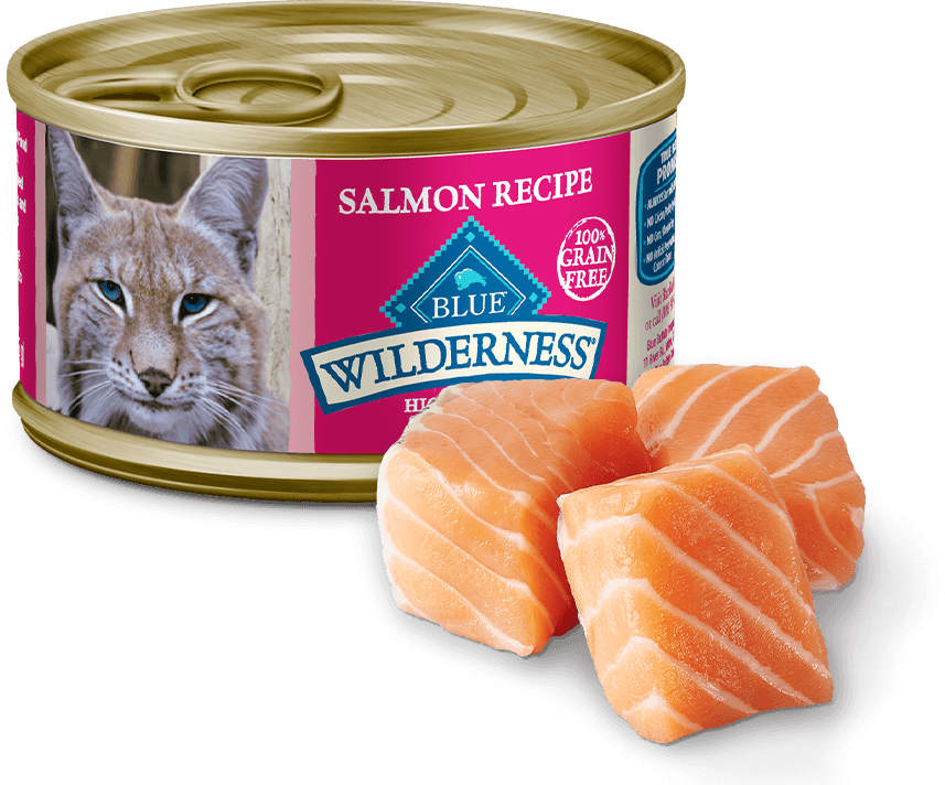 BLUE Buffalo Wilderness Salmon Recipe - Adult Cat